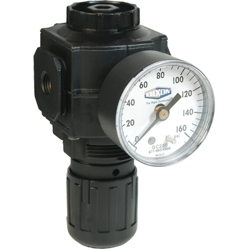Dixon Group R73G-4RG Series 1 Compact Regulator, 1/2" NPT, 150 PSI Max. PSI, Standard
