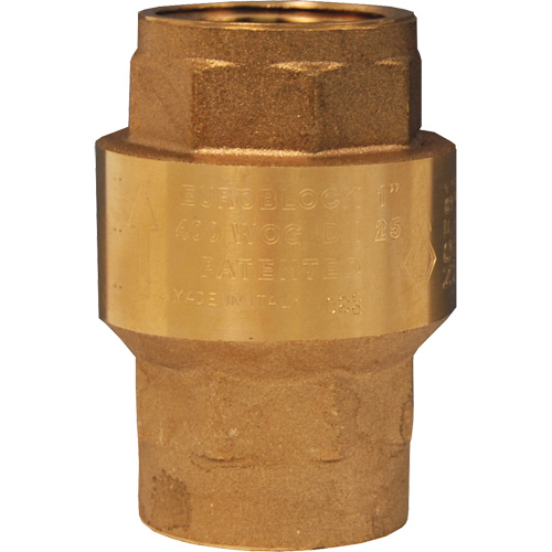 Dixon Group SWCV100 Horizontal Swing Check Valve