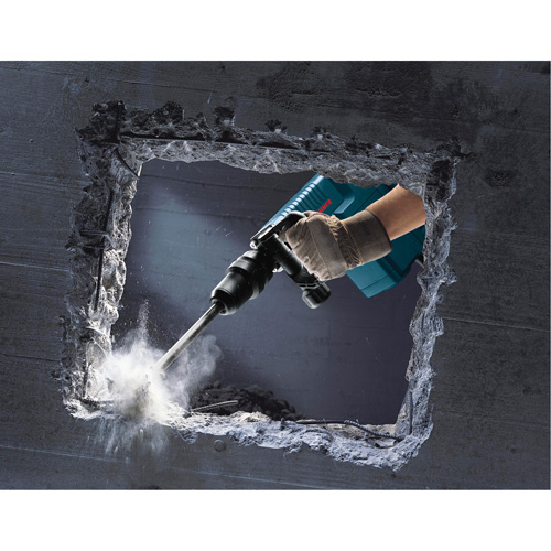 Bosch 11316EVS Marteau de d&eacute;molition