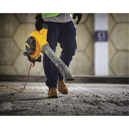 Dewalt DWBL700 Souffleur à feuilles portatif, Vitesse d'air 210 mi