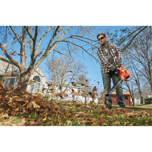 Black & Decker BEBL7000-CA 3-in-1 VacPack Leaf Blower/Vacuum/Mulcher, 250 MPH Output, Electric