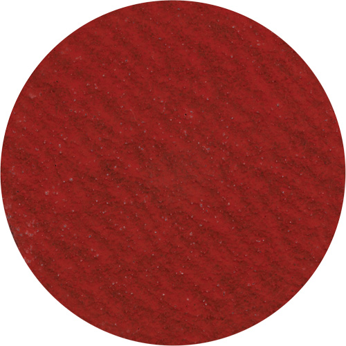 Tyrolit 112934 Disque de ponçage 3" &agrave; support verrouillable, 3" dia., Grain 36, C&eacute;ramique