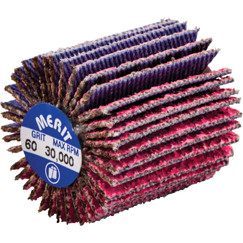 Norton 69957339719 Mini-meule &agrave; lamelles filet&eacute;es, C&eacute;ramique d'alumine, Grain 60, 1" x 1" x 1/4"-20