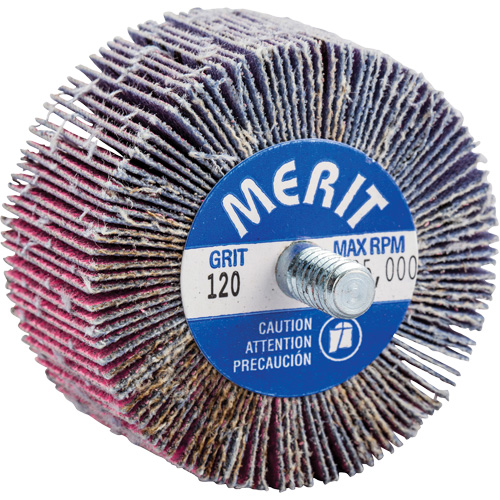 Norton 69957339736 Threaded Mini Flap Wheel, Ceramic Alumina, 120 Grit, 2" x 1" x 1/4"-20