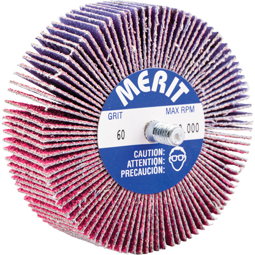 Norton 69957339738 Threaded Mini Flap Wheel, Ceramic Alumina, 60 Grit, 3" x 1" x 1/4"-20