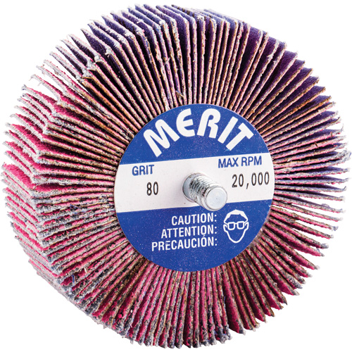 Norton 69957339739 Threaded Mini Flap Wheel, Ceramic Alumina, 80 Grit, 3" x 1" x 1/4"-20