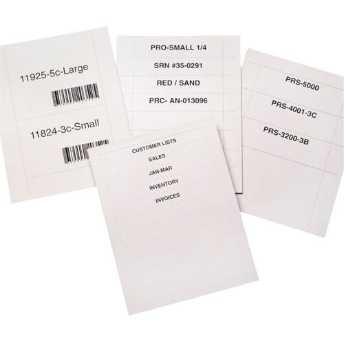 Aigner Label Holder LI354 Bin Buddy Label Holders, Self-Adhesive, 3" L x 5" W