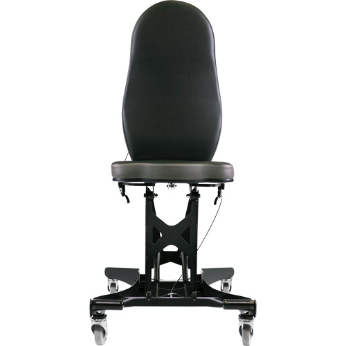 Synetik 508-00003 Flex III Ergonomic Chair