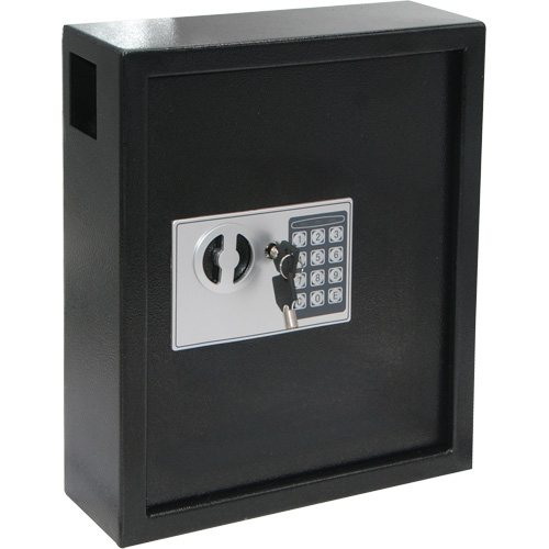 Royal Sovereign KMCG-48EL Electronic Key Safe, 48 Keys, Grey