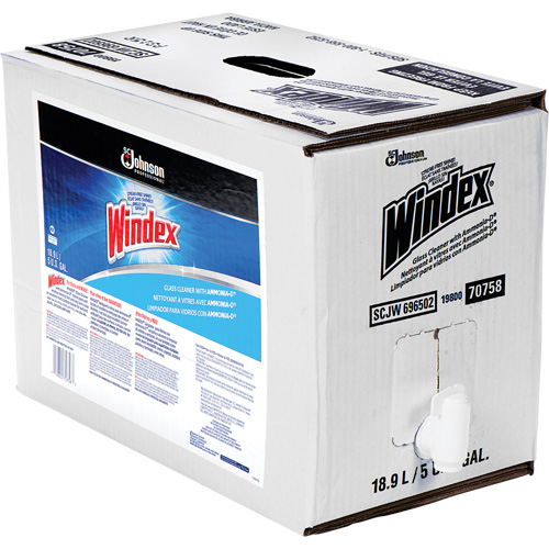 SC Johnson 10019800707580 Nettoyant pour vitres Windex avec Ammoniac-D, 5 gal., Sac