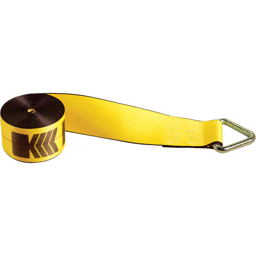 Kinedyne 423010 Winch Straps, Delta Ring, 4" W x 30' L, 5400 lbs. (2450 kg) Working Load Limit