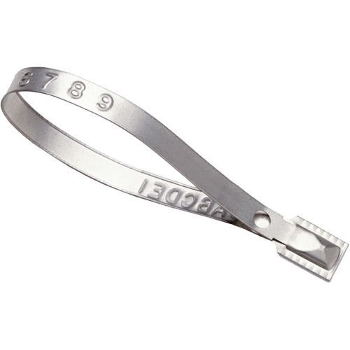 Tyden Brooks S92T Scell&eacute;s Guard Lock, 8-3/8", M&eacute;tal, Scell&eacute; pour camion