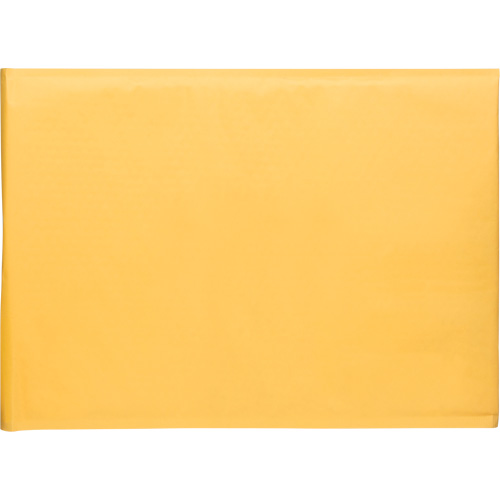 KLETON PG247 Enveloppes postales coussin&eacute;es, Kraft, 14-1/4" la x 20" lo