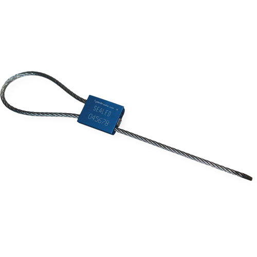 Tyden Brooks S46020121-03 Flexsecure FS35 Security Seal, 12", Metal, Cable Seal