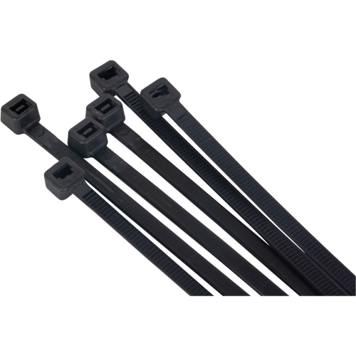 Outils Aurora PG824 Attache pour c&acirc;bles, Longueur 15"
