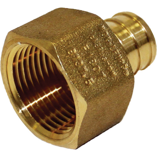 Bow Plumbing 524264 Adaptateur femelle sans plomb, Cannel&eacute; x FPT, 1/2" dia., Laiton