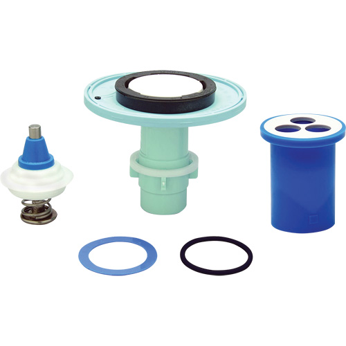 Zurn P6000-ECR-WS1-RK Soupape de chasse d'eau &agrave; toilette pour trousse de remise en &eacute;tat de diaphragme
