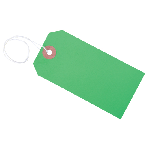  SAG598 Coloured Blank Tags, Cardstock, 2-1/8" W x 4-1/4" H