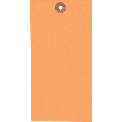  SAG765 Coloured Blank Tags, Tyvek, 3-1/8" W x 6-1/4" H