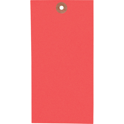  SAG757 Blank Tags, Tyvek, 3-1/8" W x 6-1/4" H