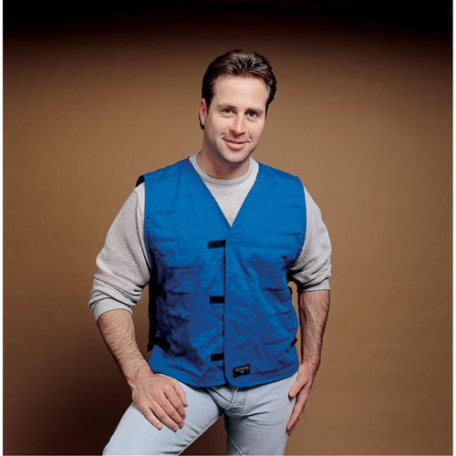 Allegro Industries 8401-05 VESTES DE REFROIDISSEMENT, 2T-Grand, Bleu royal