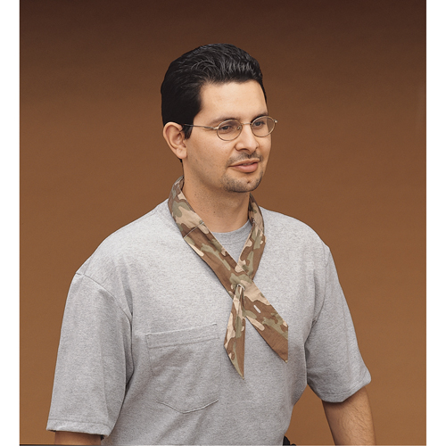 Allegro Industries 8405-59 Cool Offs Bandana, Multi-Colour