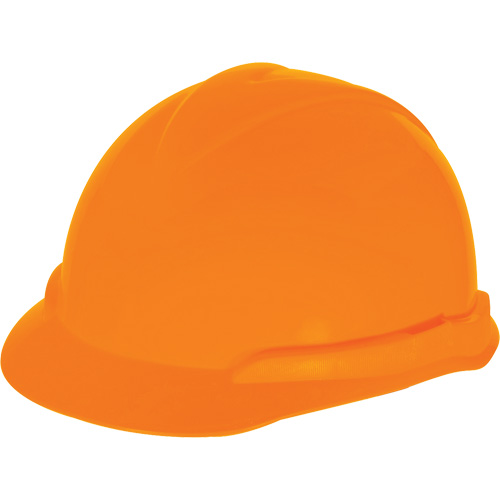 hardhat or hard hat