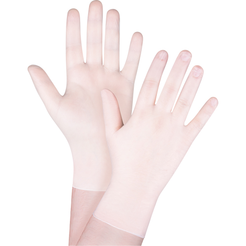 Zenith Safety Products SGC463 Disposable Gloves, X-Small