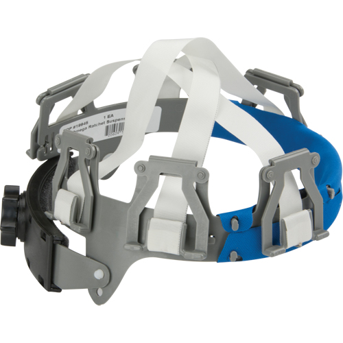 Delta Plus 14A69945 ERB Coiffe de rechange pour casque de s&eacute;curit&eacute; Omega II, Rochet