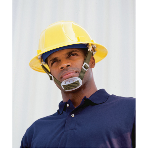 Delta Plus WEL19181 ERB Chinstrap for ERB Hardhat