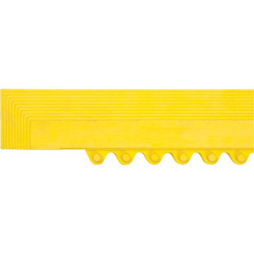 Produits de sécurité Zenith SDL869 Rampe de bordure pour tapis