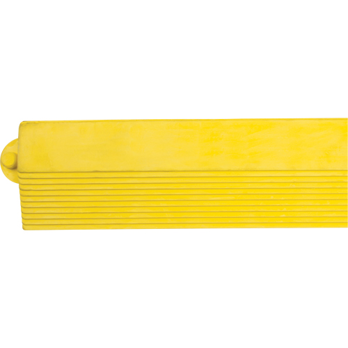 Zenith Safety Products SDL870 Border Ramp for Matting