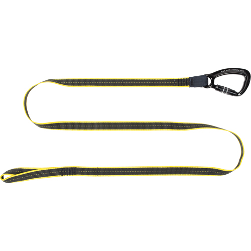 3M DBI Sala Protection Contre Les Chutes 1500051 Longe de service lourd pour outil, Longueur fixe, Mousqueton/boucle