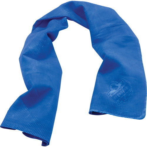 Ergodyne 12420 Chill-Its&reg; 6602 Cooling Towels, Blue