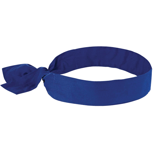 Ergodyne 12307 Foulards de refroidissement Chill-Its 6700, Bleu