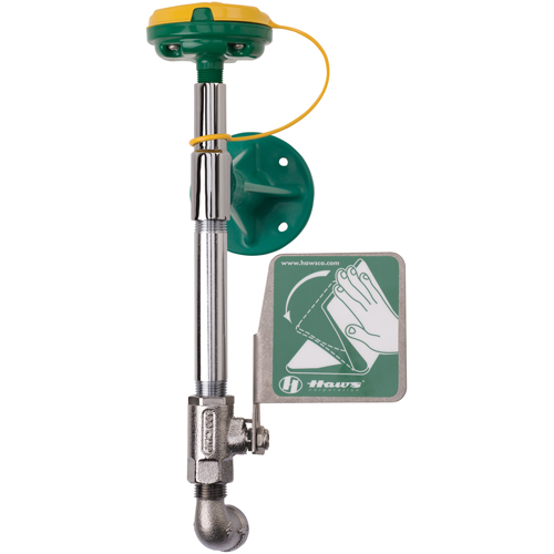 Haws 7324 Poste de douche oculaire/faciale Axion, Installation Montage mural