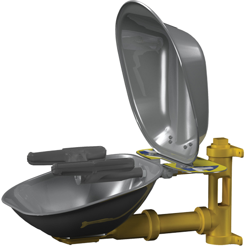 Bradley S19224DCFW Halo Face/Eyewash Stations, Wall-Mount Installation, Stainless Steel Bowl
