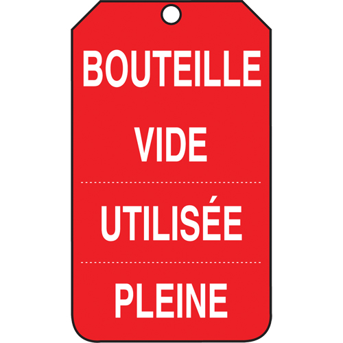 Accuform NMC FRMGT206CTM Inspection Tags, Cardstock, 3-3/8" W x 5-7/8" H, French