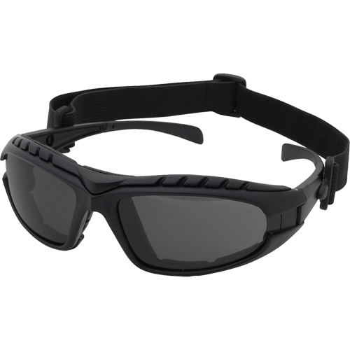 Dentec 12E90702 Dustdevil Black Frame Safety Glasses, Grey Lens, Anti-Fog/Anti-Scratch, ANSI Z87+/Meets/Exceeds CSA Z94.3