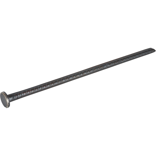 Zenith Safety Products SEH144 Rebar Spike