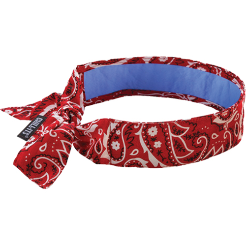 Ergodyne 12563 Chill-Its&reg; 6700CT Cooling Bandanas, Red