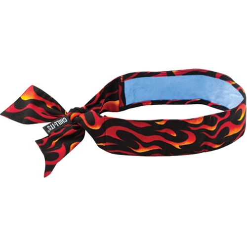 Ergodyne 12568 Foulards 6700CT de refroidissement en tissu de serviette Chill-Its, Multicolore