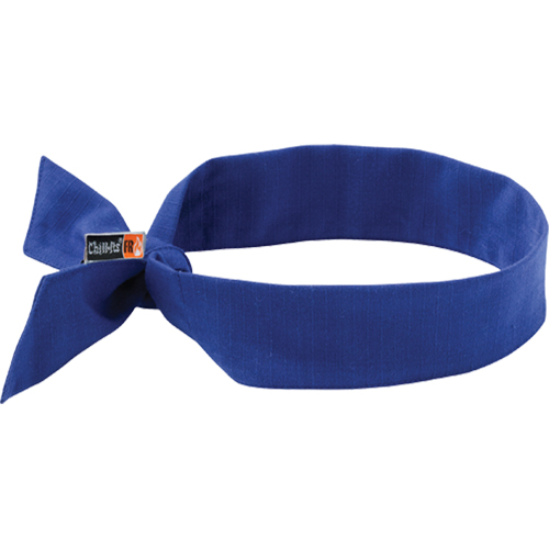 Ergodyne 12607 Foulards de refroidissement ignifug&eacute;s 6700FR Chill-Its, Bleu