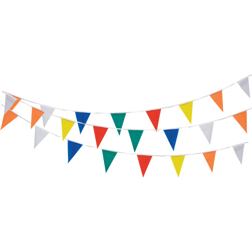 Zenith Safety Products SGG313 Pennant String, 60' L, Multicolour