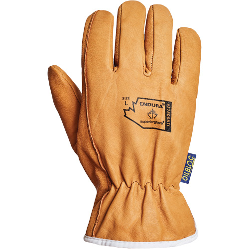 Superior Glove Works Ltd. 378GOBTL-L Endura&reg; Driver's Glove, Large, Grain Goatskin Palm, Thinsulate Inner Lining