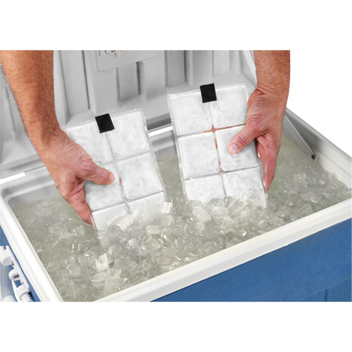 Ergodyne 12120 Sachets pour veste de refroidissement &agrave; changement de phase 6260 Chill-Its
