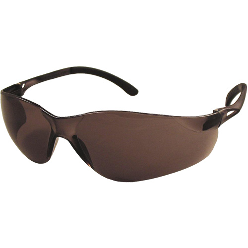 Dentec 12E90807 SenTec Safety Glasses, Grey Lens, Anti-Fog/Anti-Scratch, Meets/Exceeds CSA Z94.3
