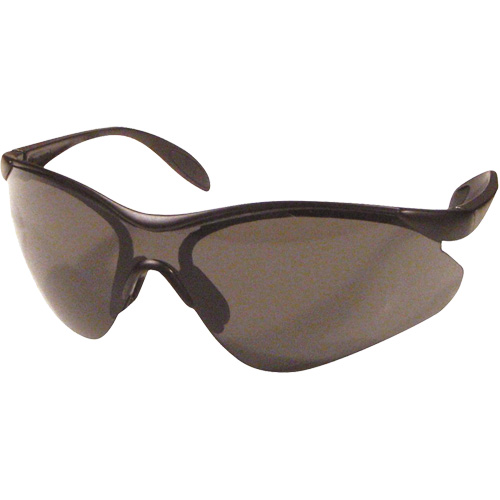 Dentec 12E93702 Miranda Safety Glasses, Grey Lens, Anti-Scratch, Meets/Exceeds CSA Z94.3