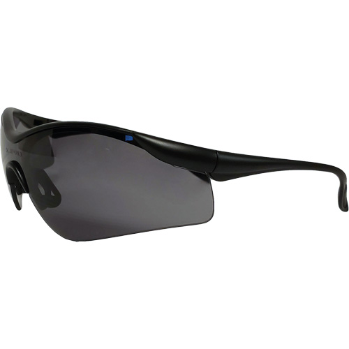 Dentec 12E93707 Miranda Safety Glasses, Grey Lens, Anti-Fog/Anti-Scratch, Meets/Exceeds CSA Z94.3