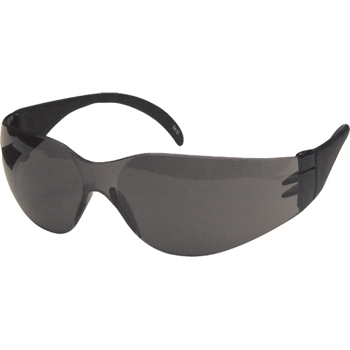 Dentec 12E93102 CeeTec Safety Glasses, Grey Lens, Anti-Scratch, Meets/Exceeds CSA Z94.3
